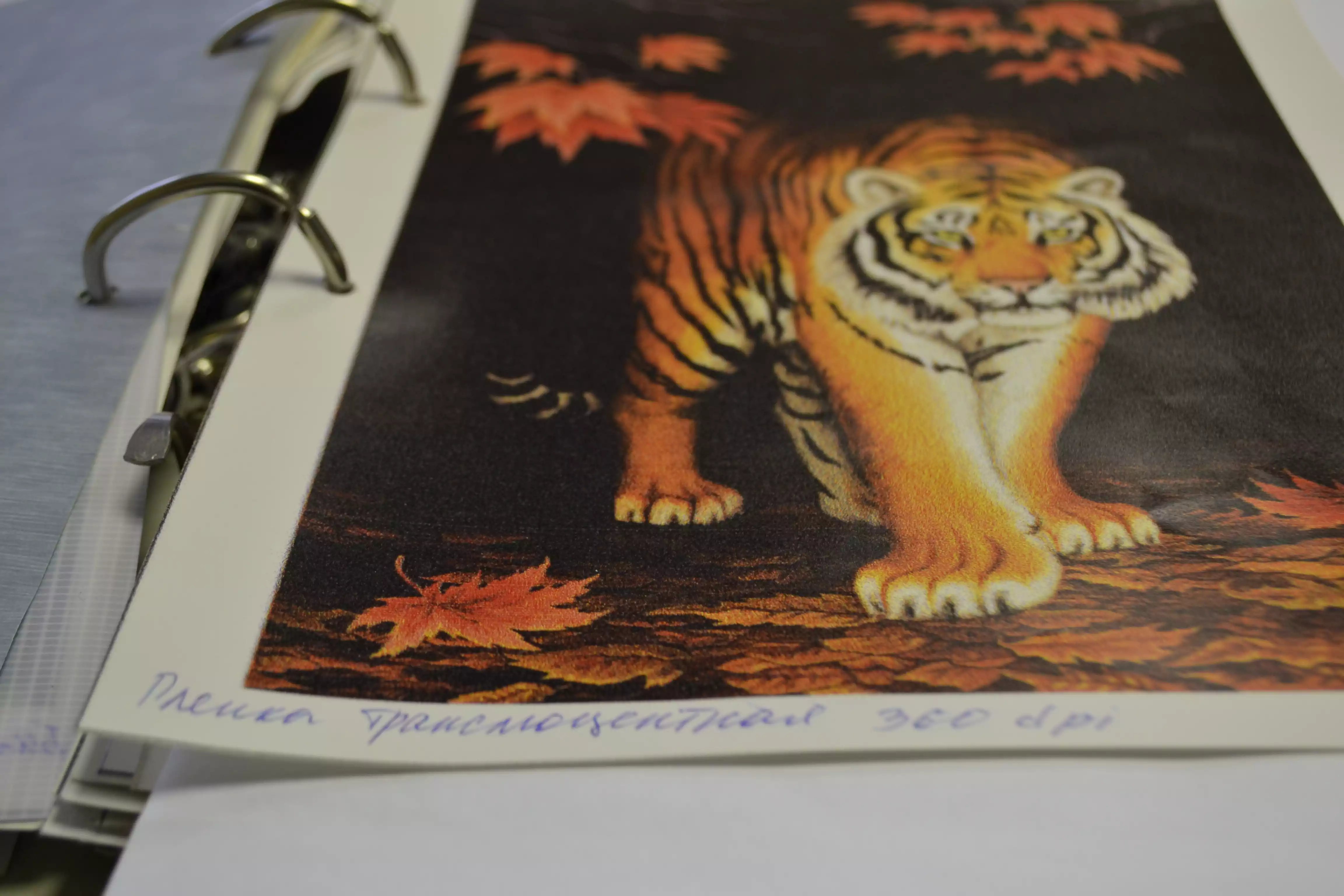 Пленка транслюцентная с клеем