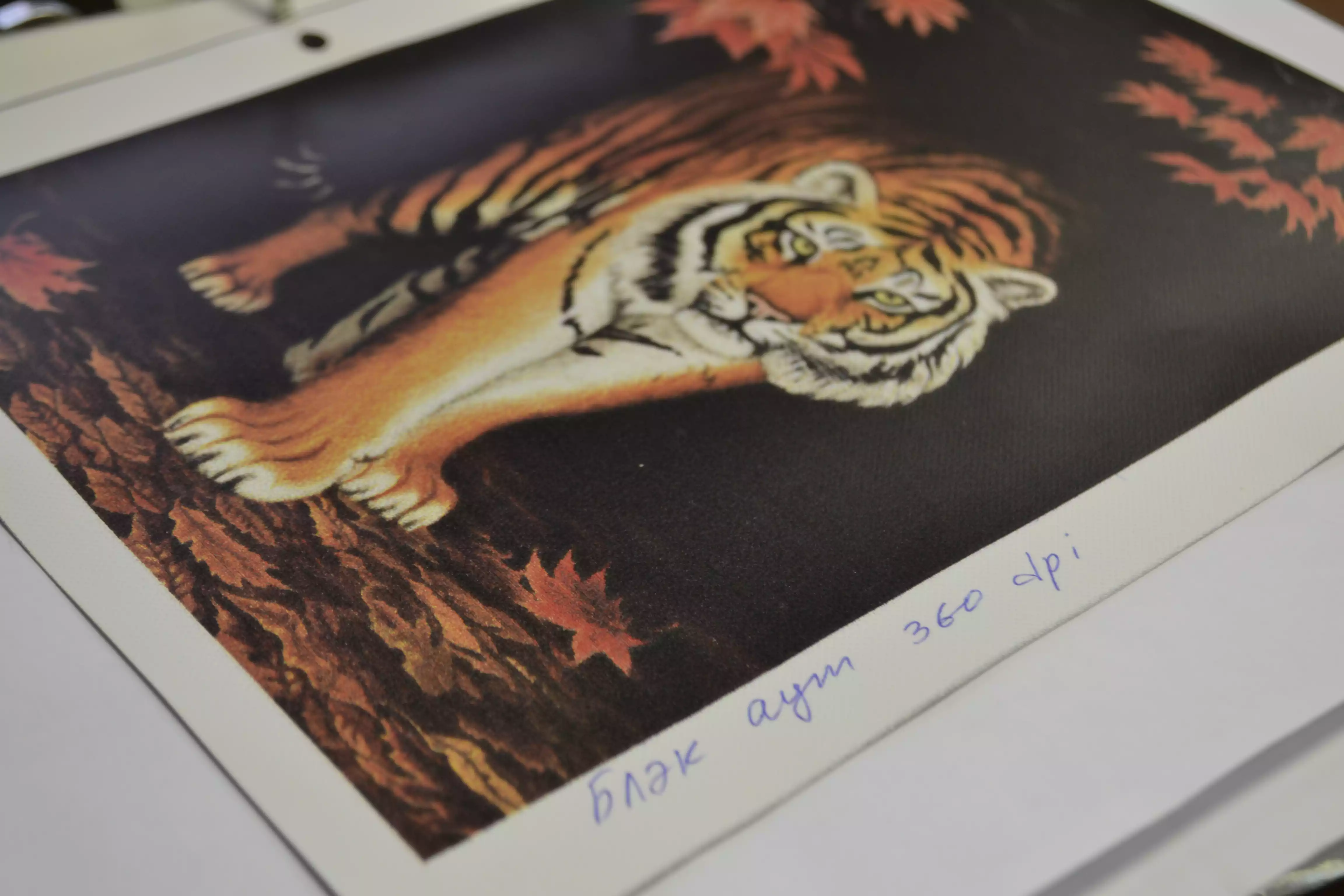 Баннер BlockOut (двусторонняя печать)