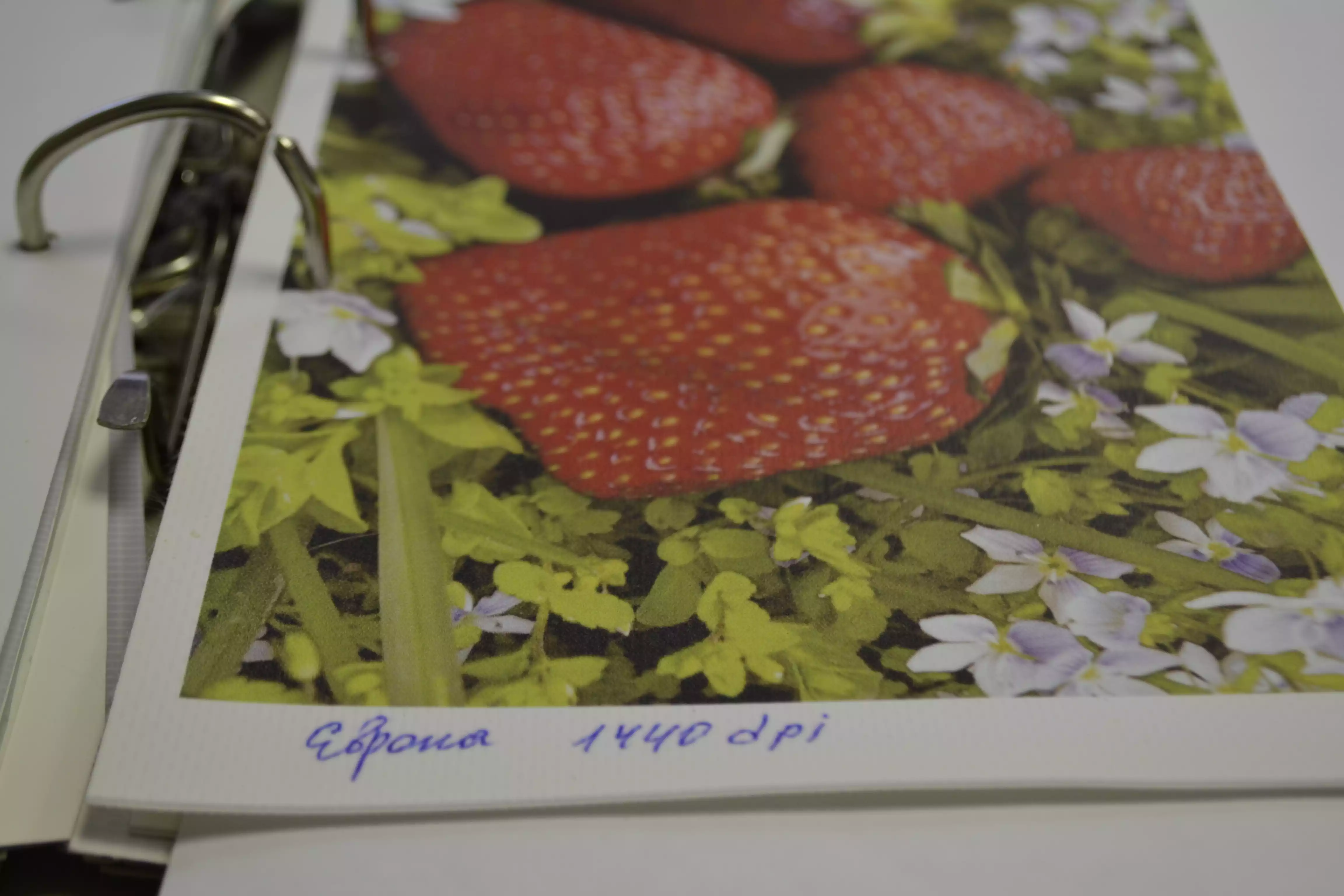 Баннерная ткань Frontlit (Европа)