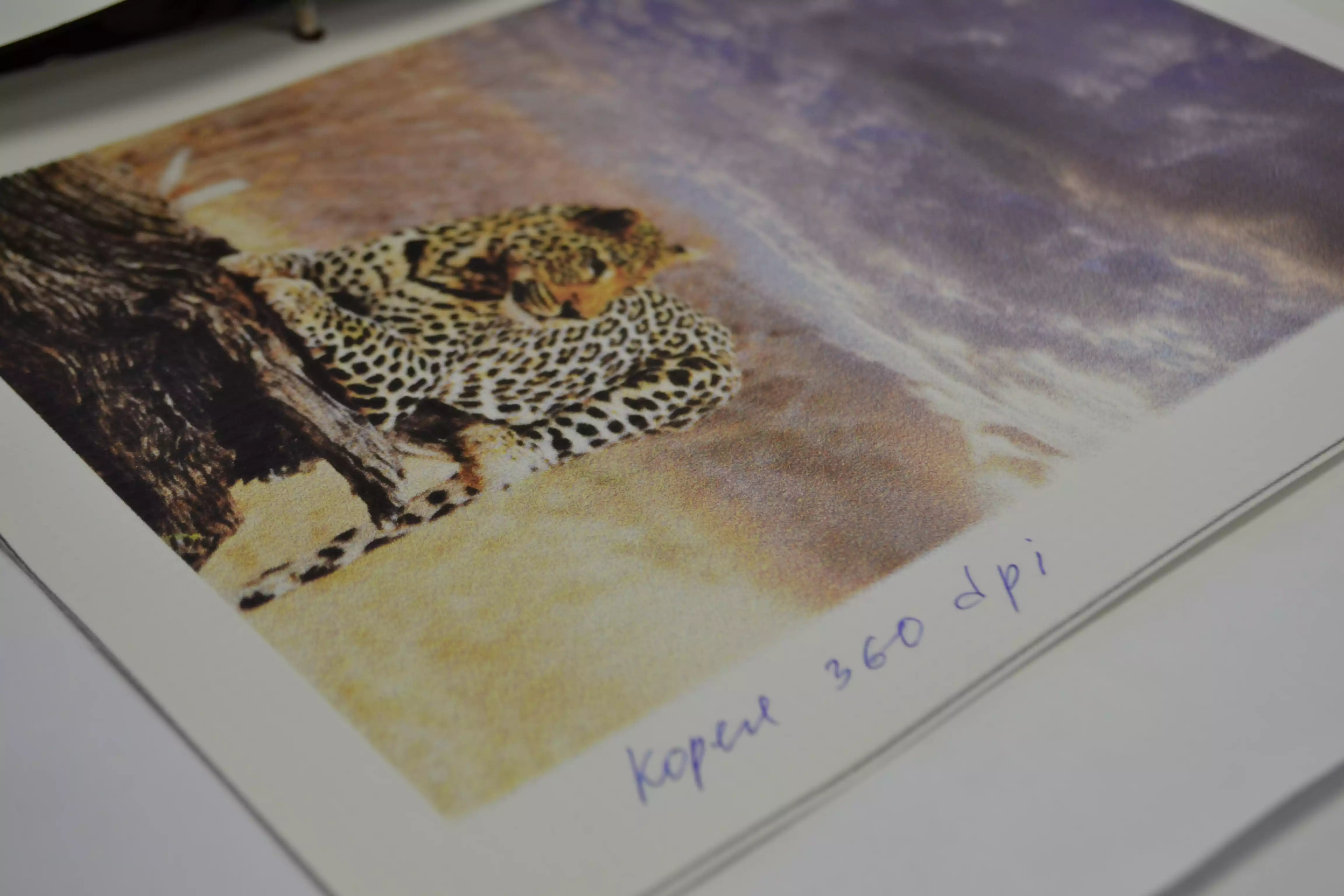 Баннерная ткань Frontlit (Корея)