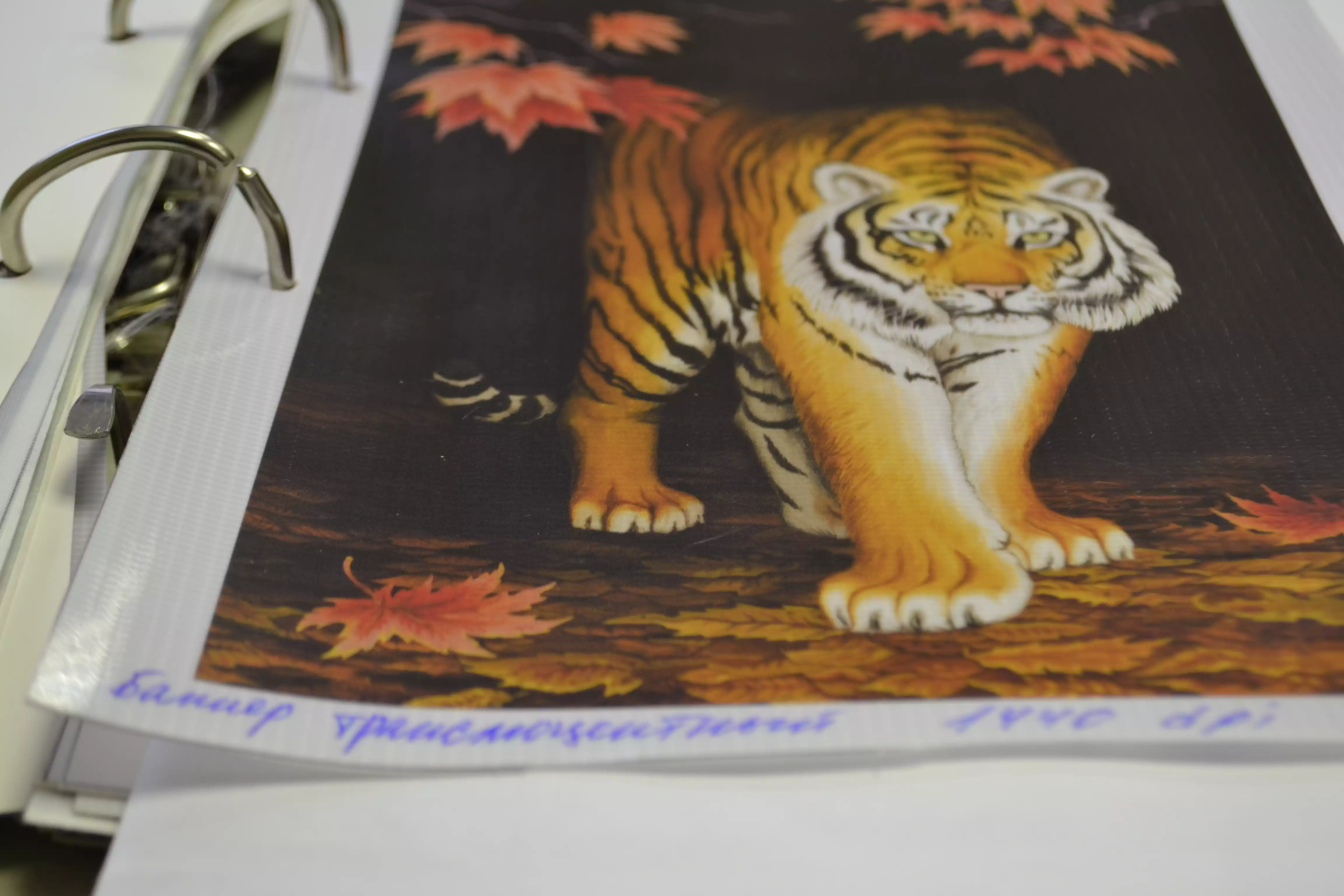 Баннер Backlit (светорассеивающий)