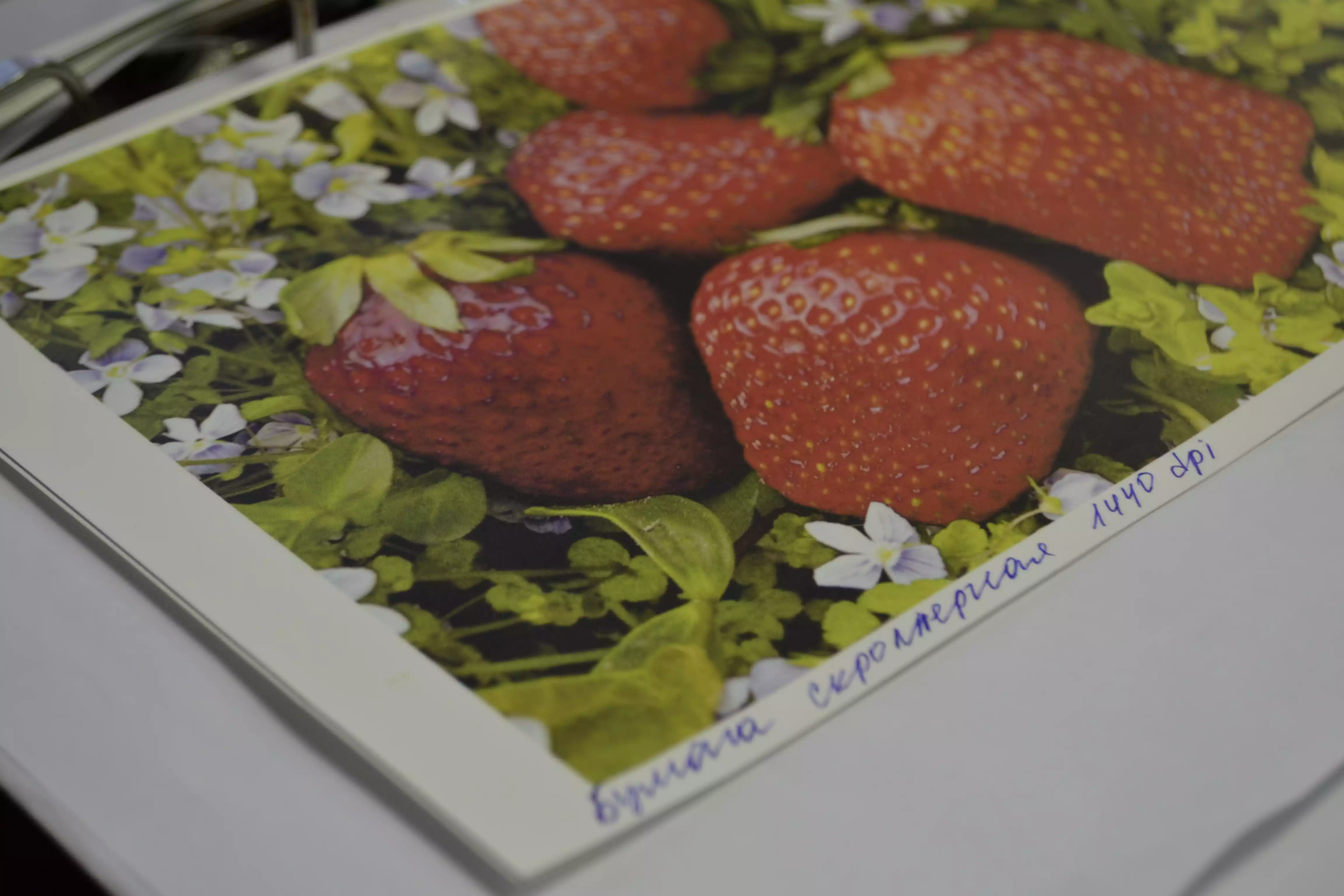 Скроллерная бумага (2850 мм)