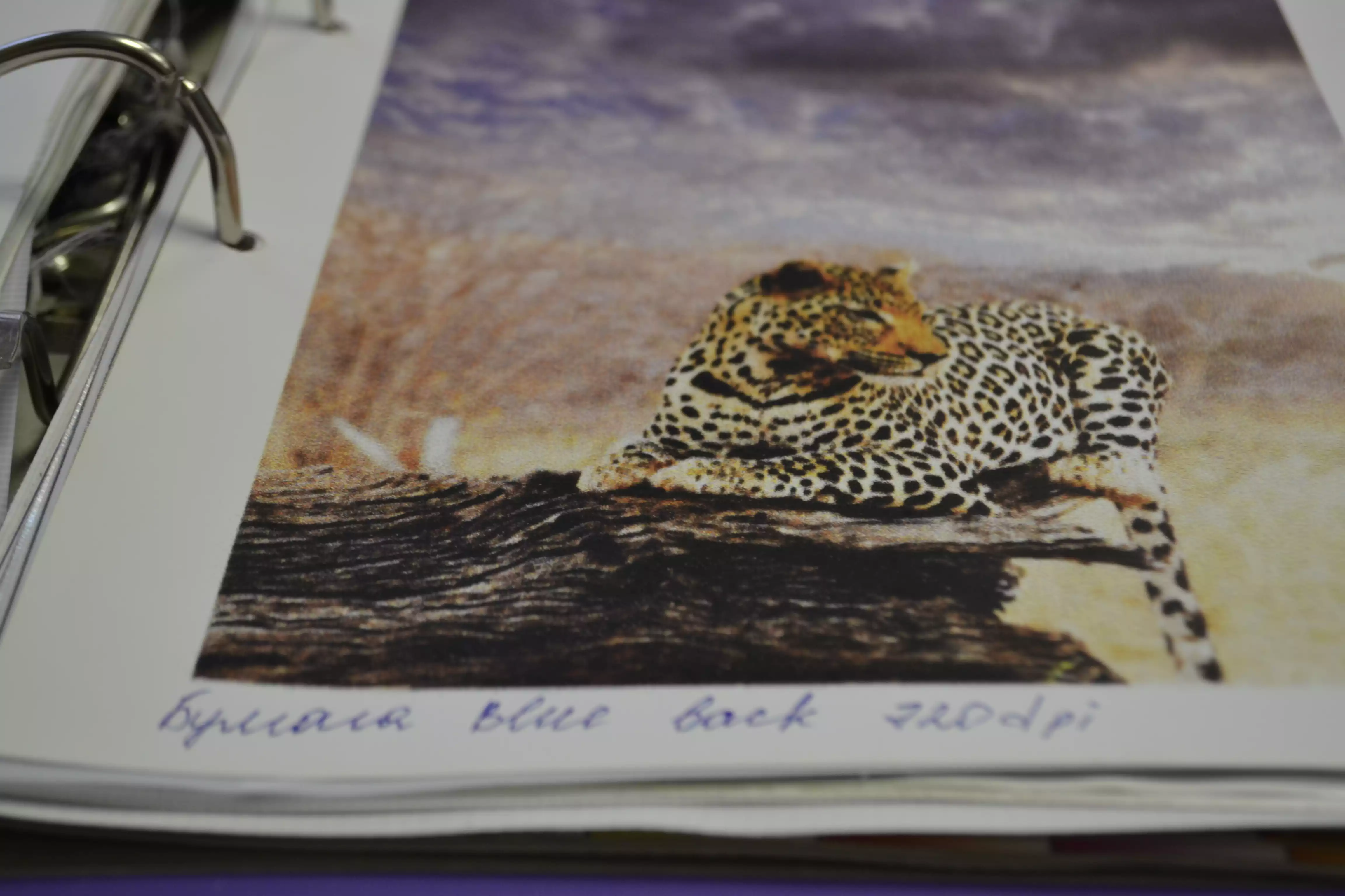 Бумага Блюбэк (1600 мм)