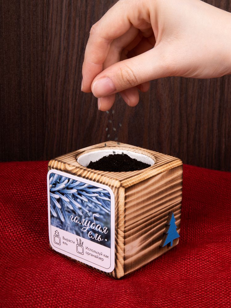 Миниатюра имиджевого (1000)