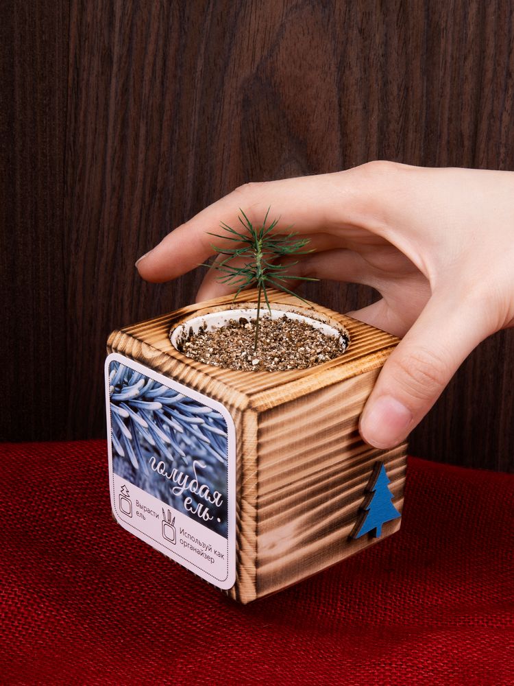 Миниатюра имиджевого (1000)