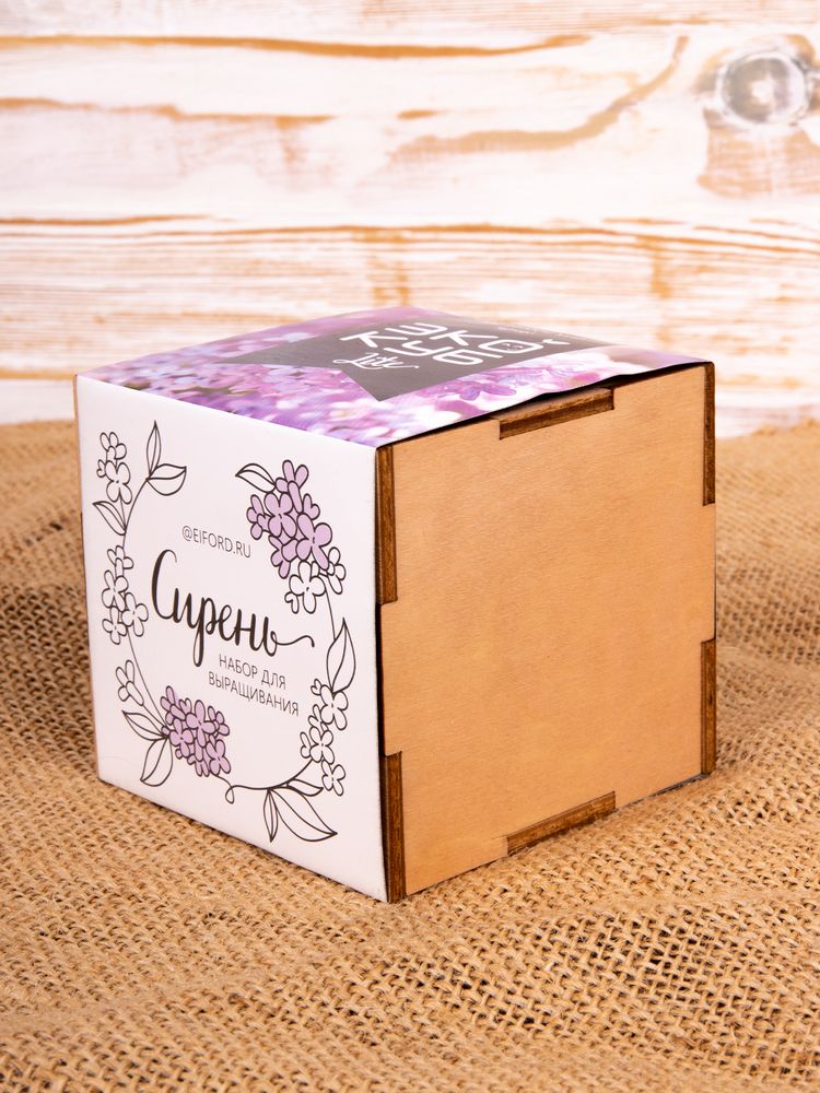 Миниатюра имиджевого (1000)