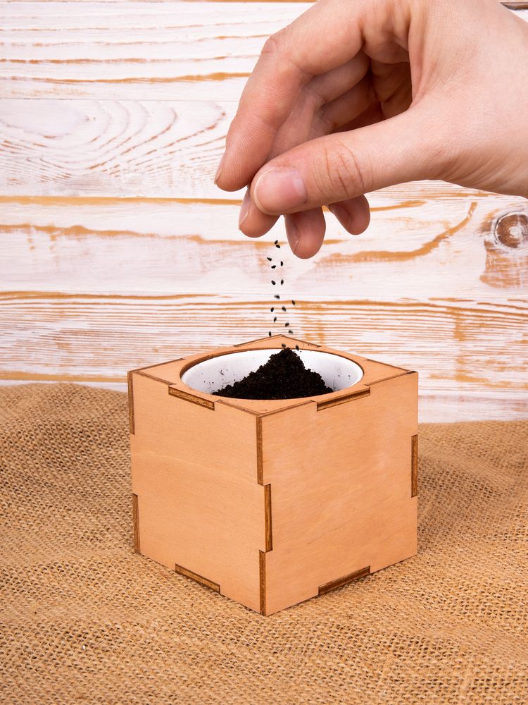 Миниатюра имиджевого (1000)