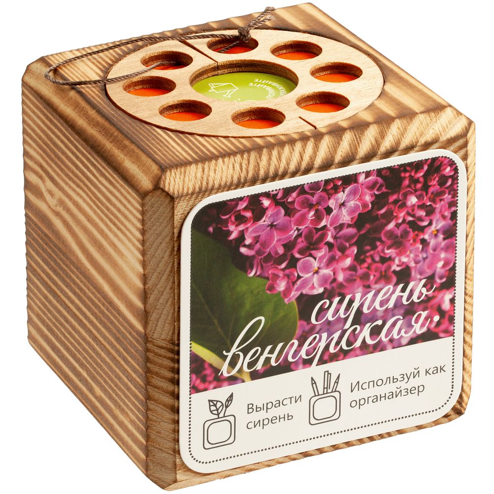 Миниатюра WWW (1000)