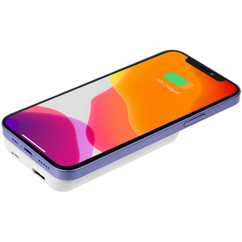 Миниатюра WWW (1000)