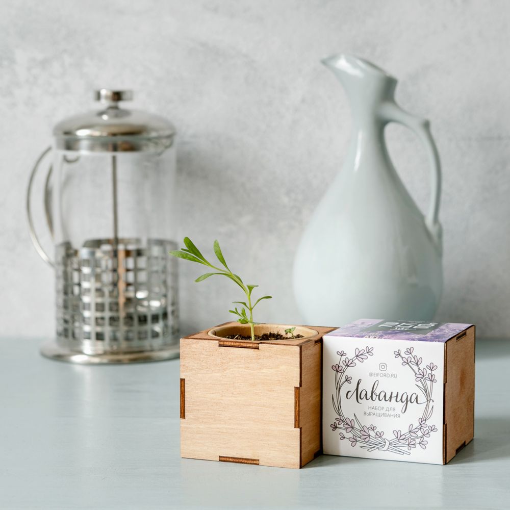 Миниатюра WWW (1000)