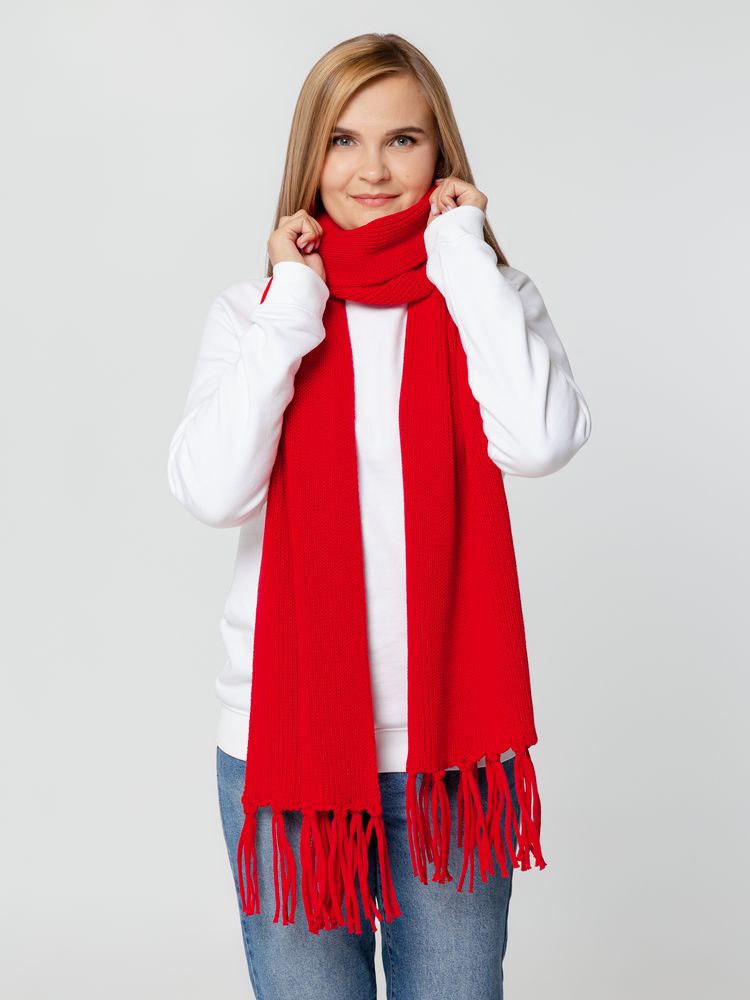 Миниатюра WWW (1000)