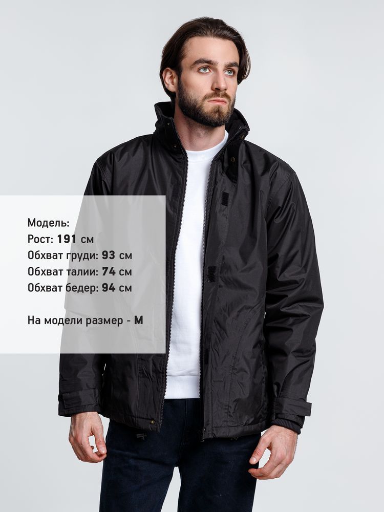 Миниатюра WWW (1000)