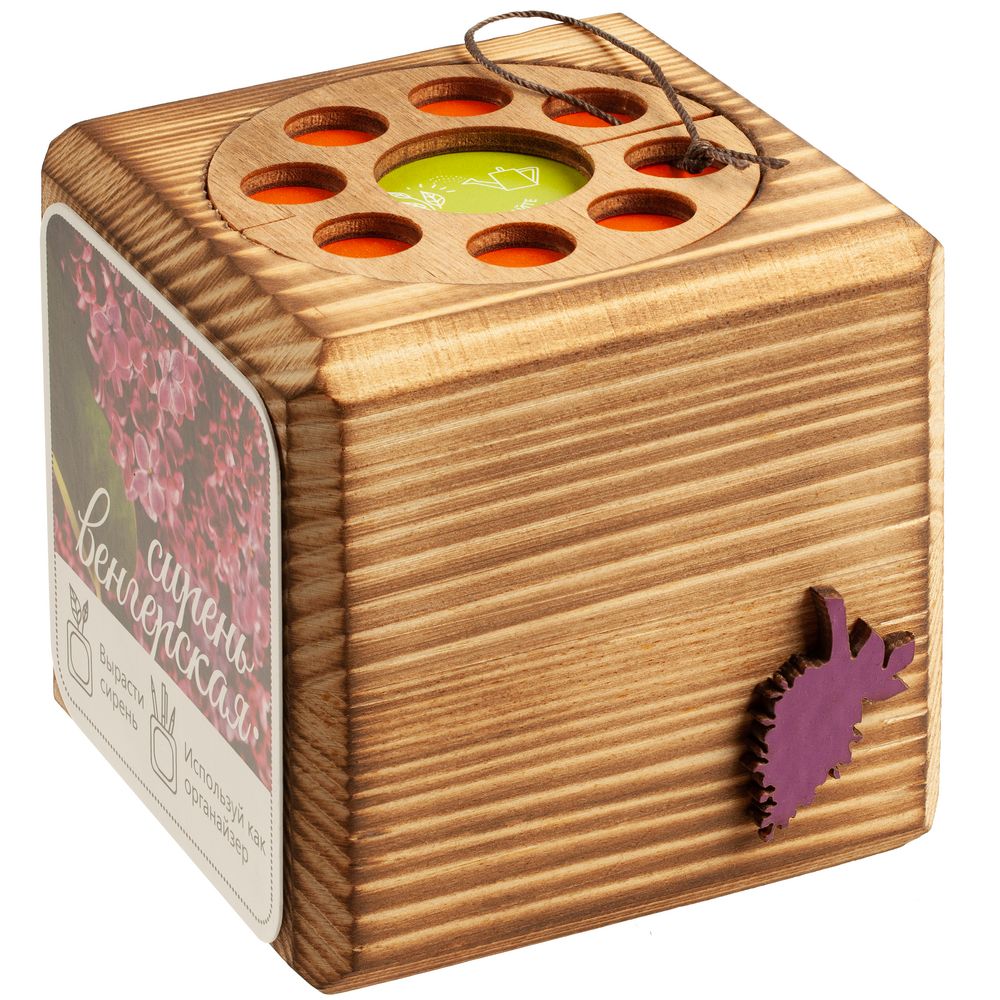 Миниатюра WWW (1000)