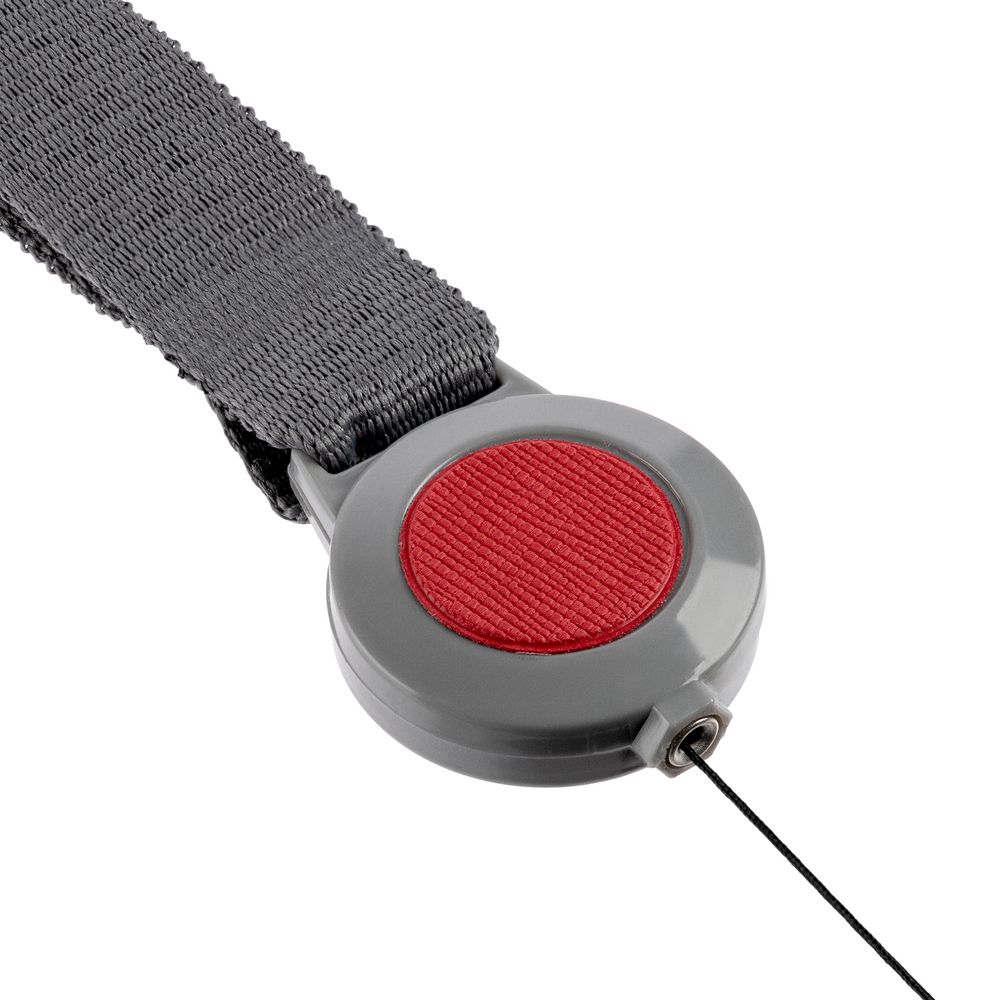 Миниатюра WWW (1000)