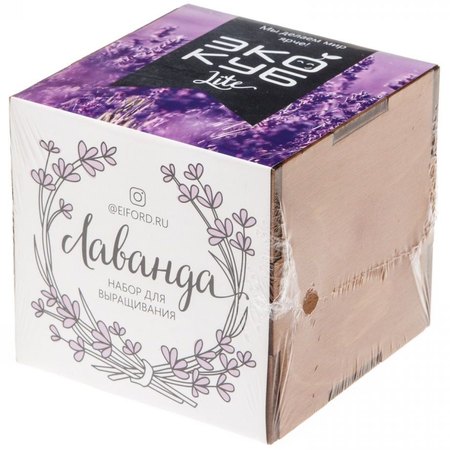 Миниатюра WWW (1000)