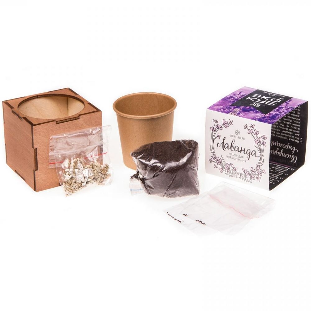 Миниатюра WWW (1000)