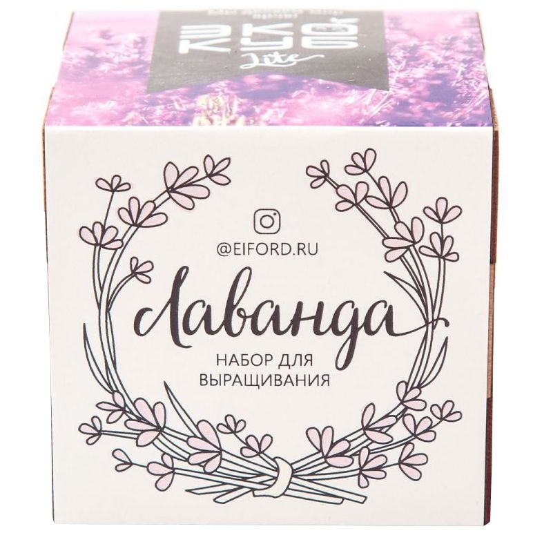 Миниатюра WWW (1000)