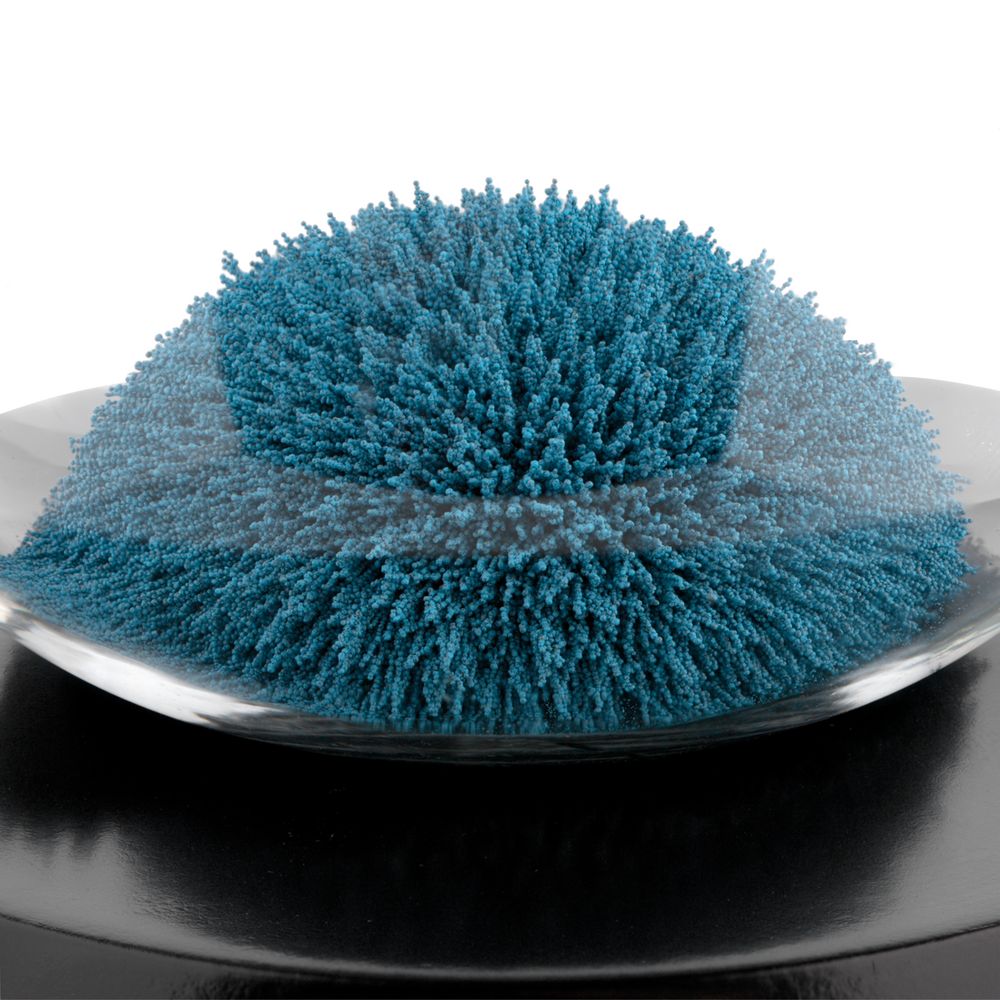 Миниатюра WWW (1000)