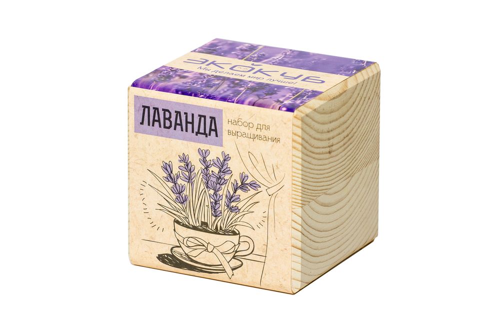 Миниатюра WWW (1000)