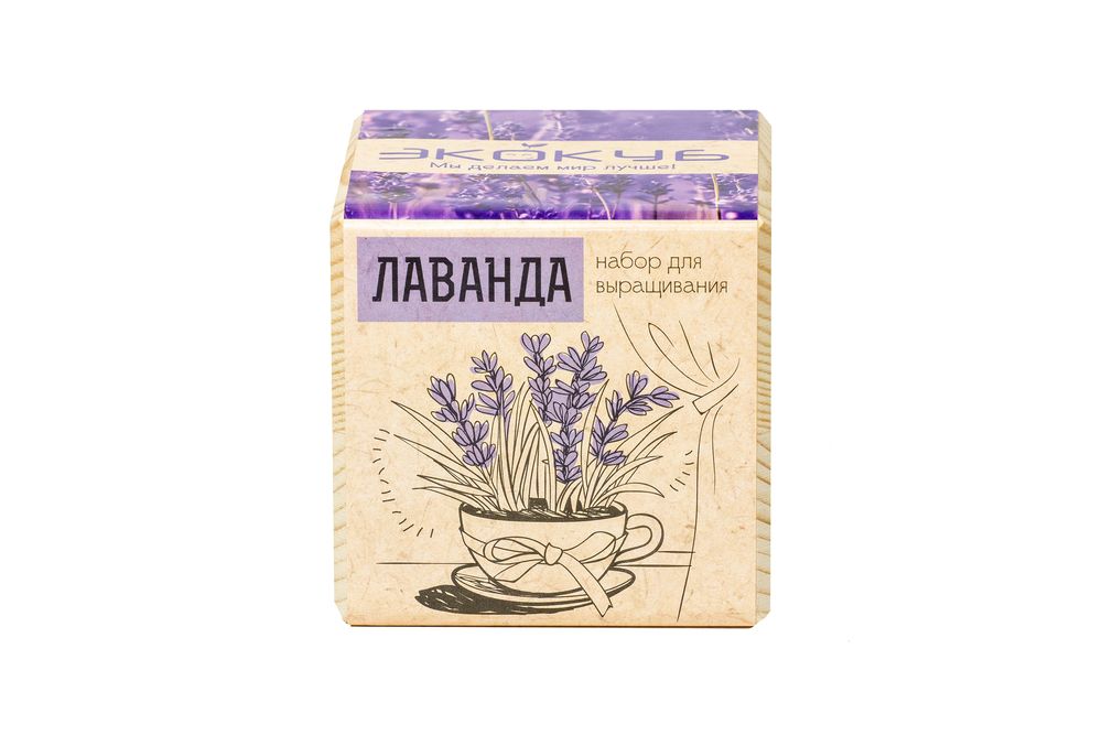 Миниатюра WWW (1000)