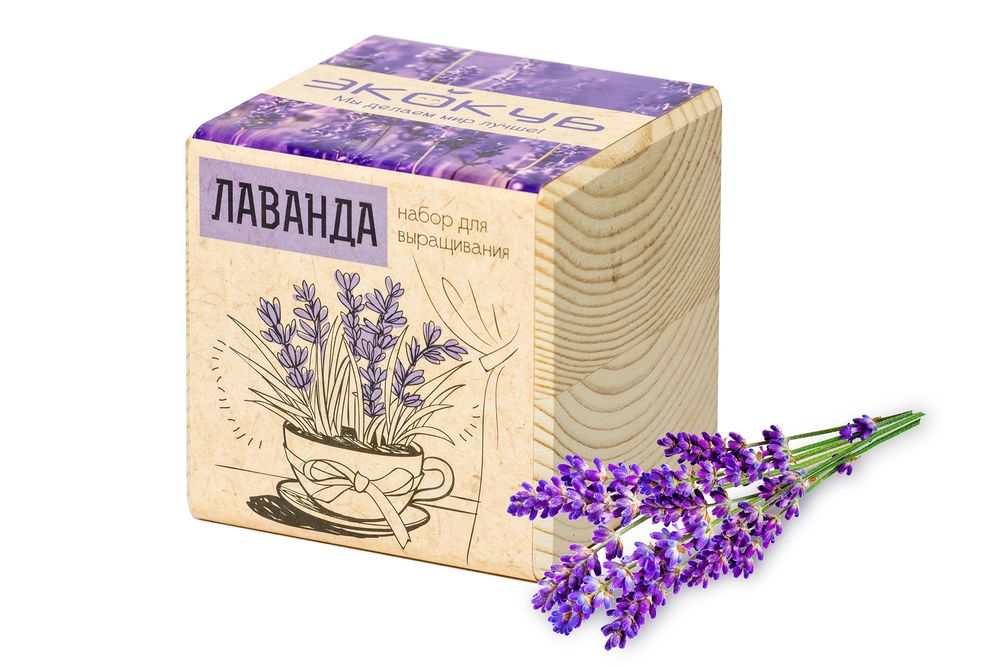 Миниатюра WWW (1000)