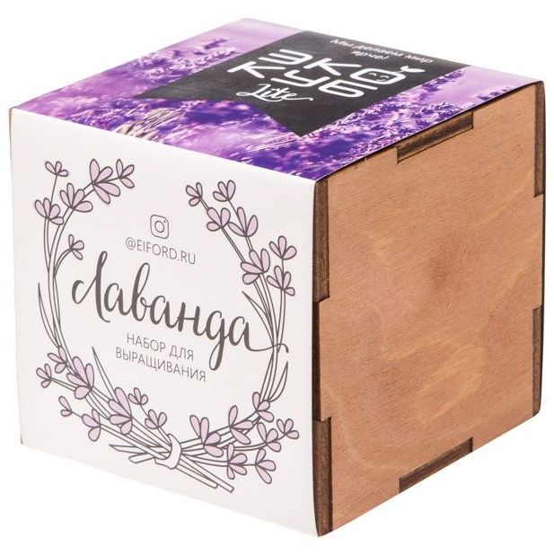 Миниатюра WWW (1000)