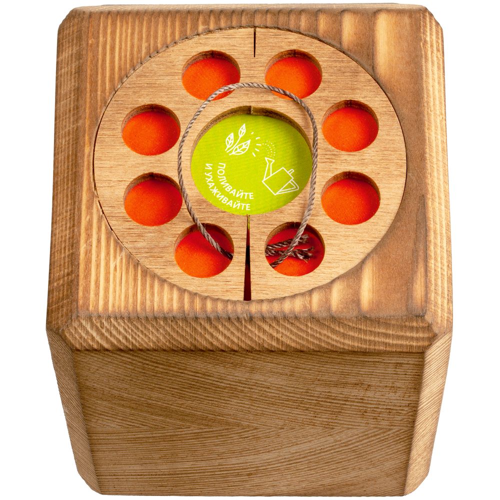 Миниатюра WWW (1000)