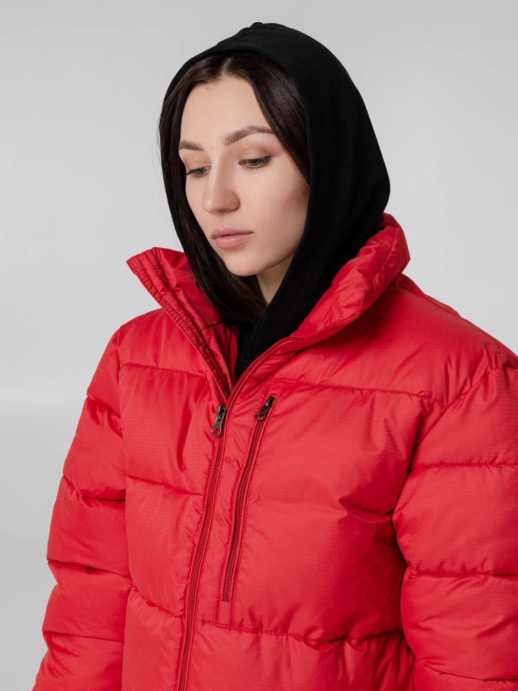 Миниатюра WWW (1000)