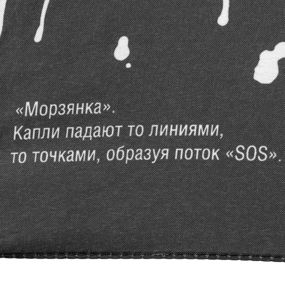 Миниатюра WWW (1000)