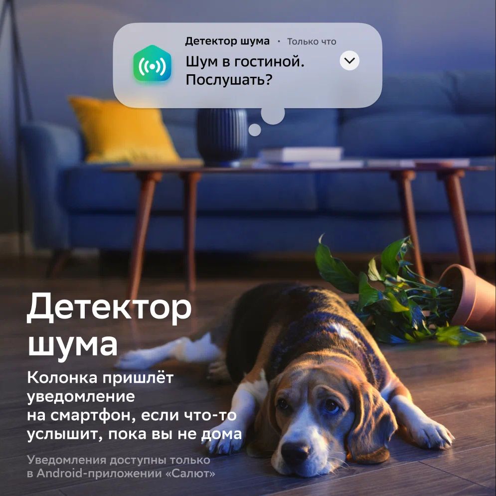 Миниатюра WWW (1000)