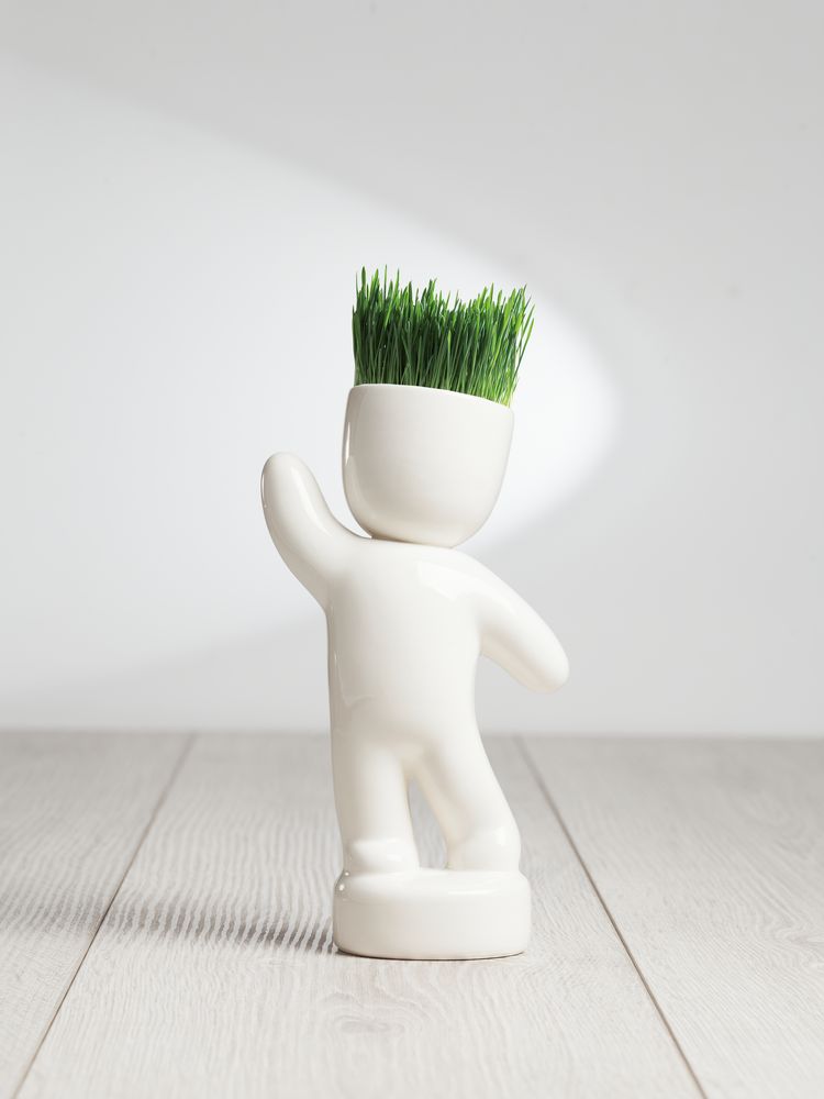 Миниатюра WWW (1000)