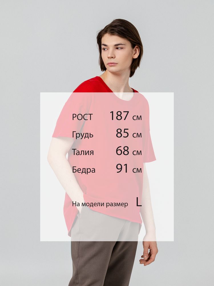 Миниатюра WWW (1000)
