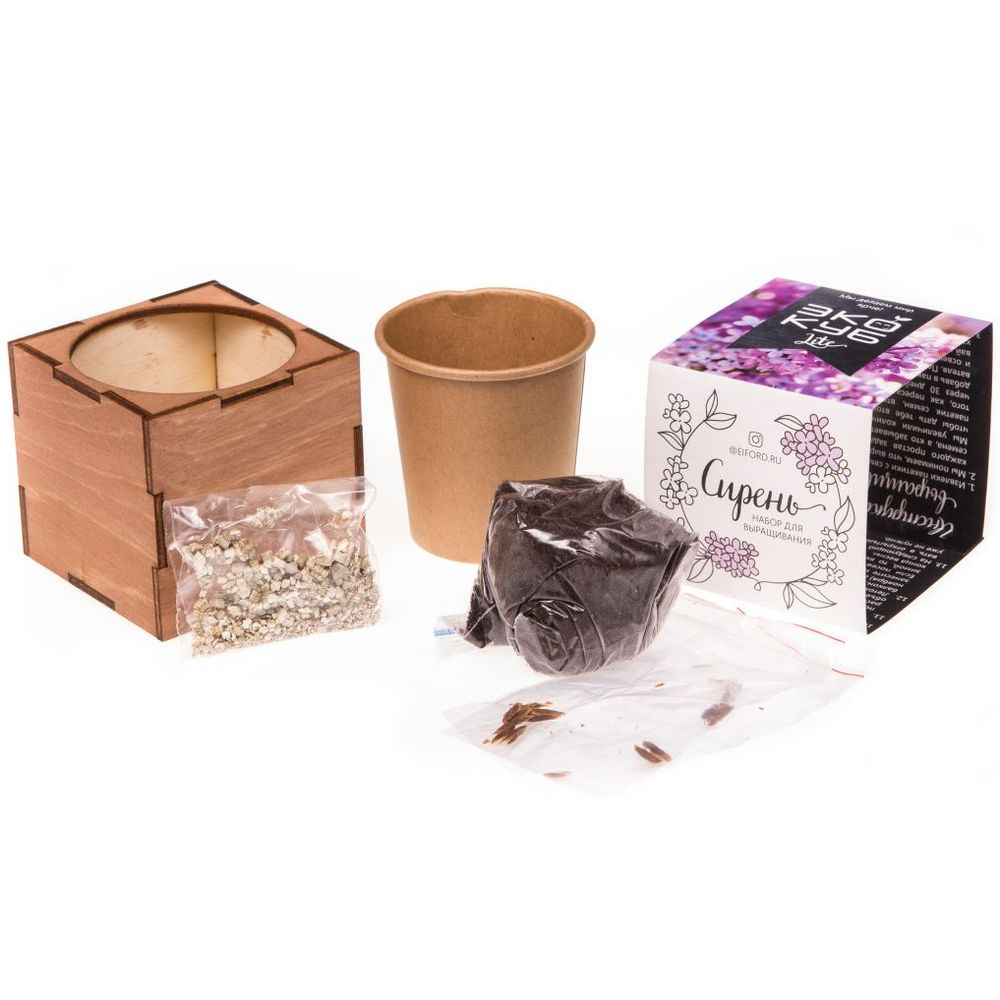 Миниатюра WWW (1000)