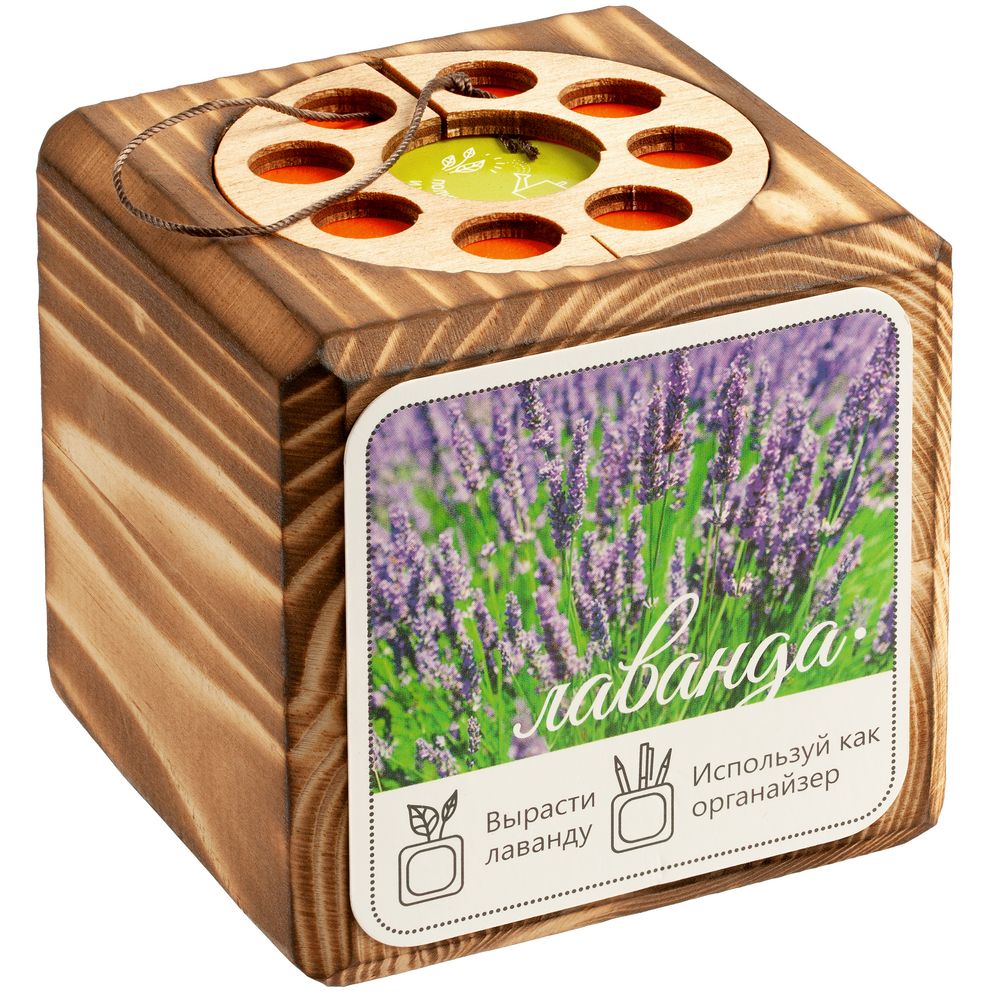 Миниатюра WWW (1000)