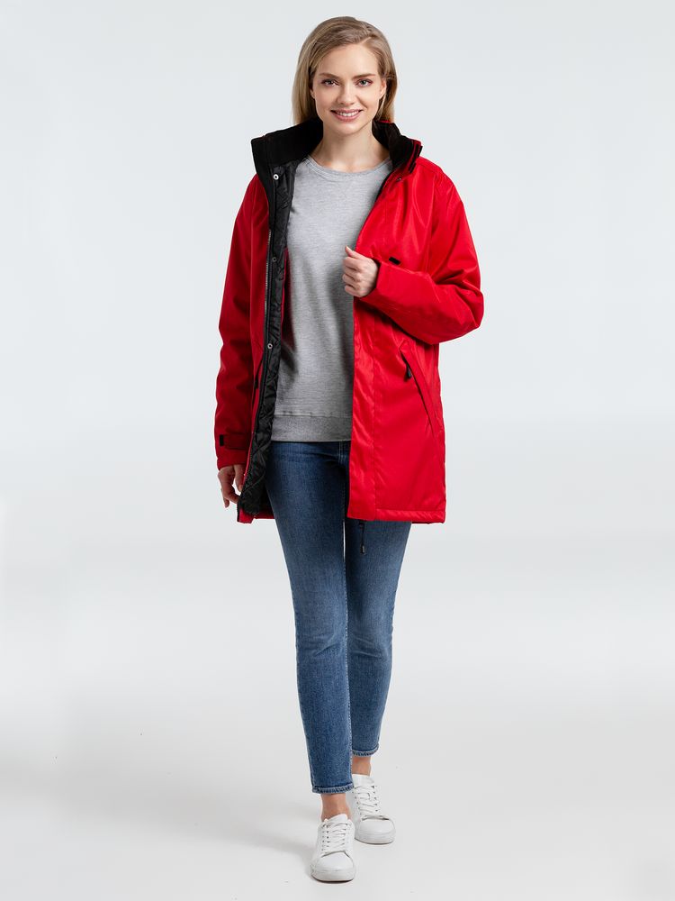 Миниатюра WWW (1000)