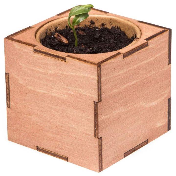 Миниатюра WWW (1000)