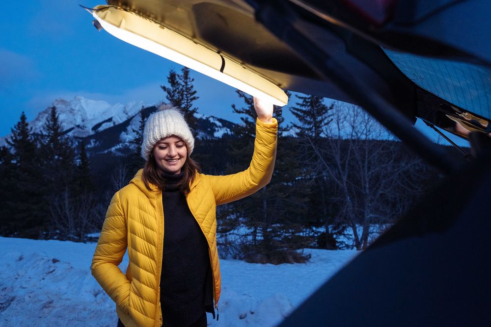 Миниатюра WWW (1000)