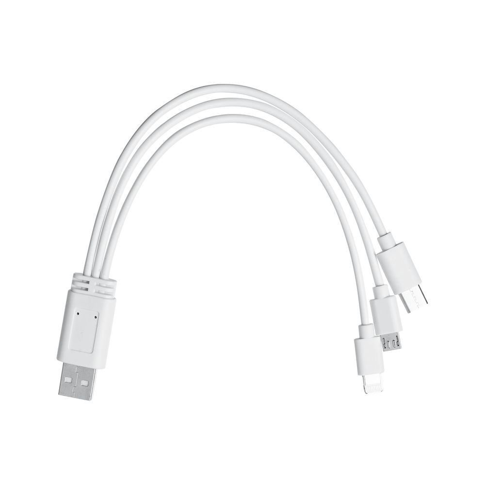 Миниатюра WWW (1000)