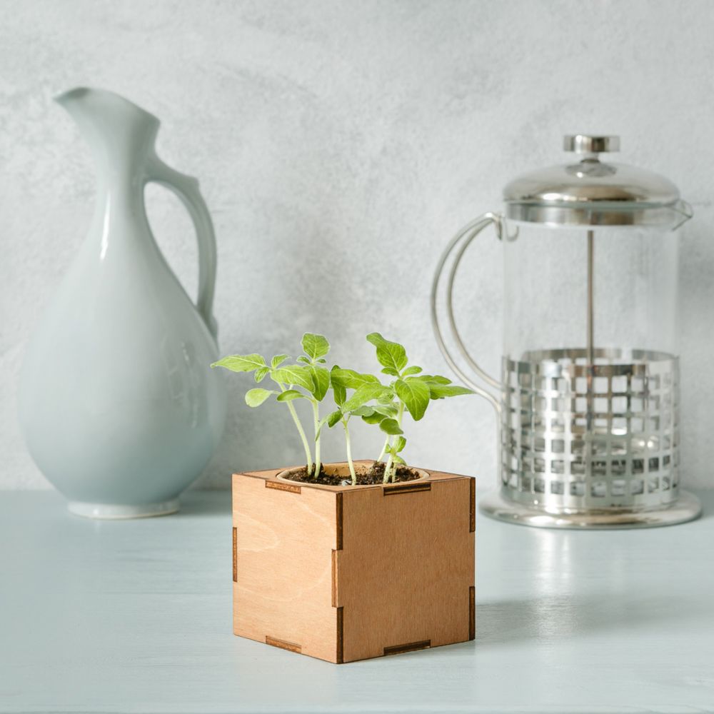 Миниатюра WWW (1000)