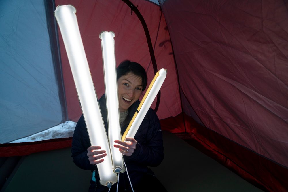 Миниатюра WWW (1000)