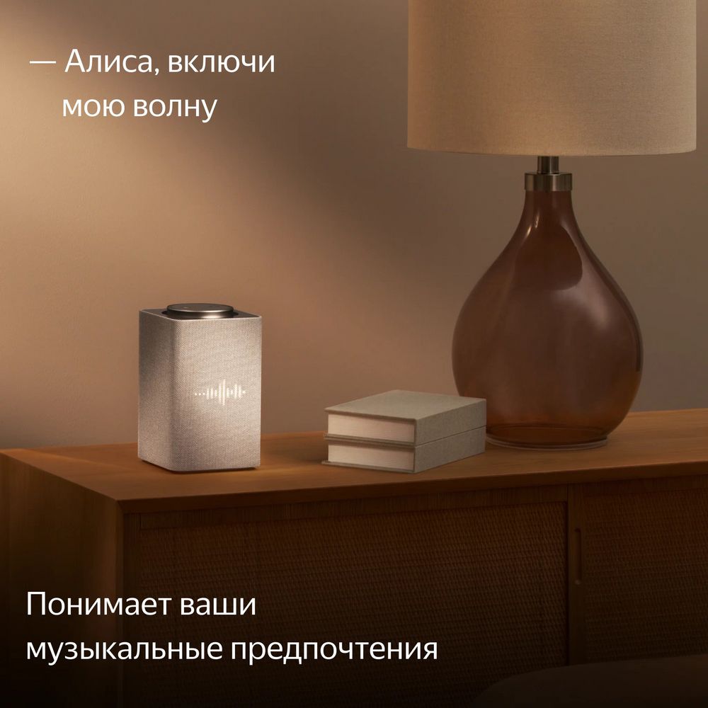 Миниатюра WWW (1000)