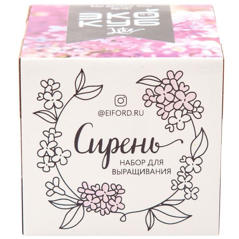 Миниатюра WWW (1000)