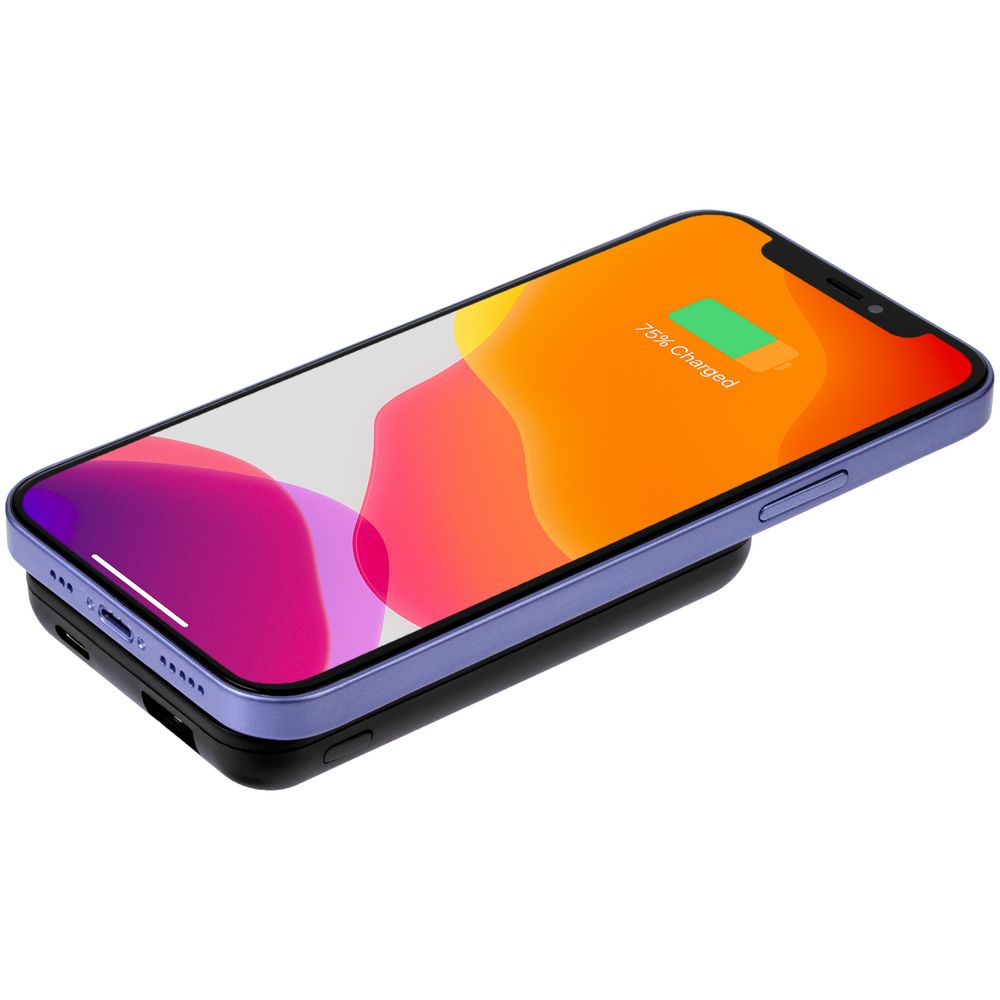 Миниатюра WWW (1000)