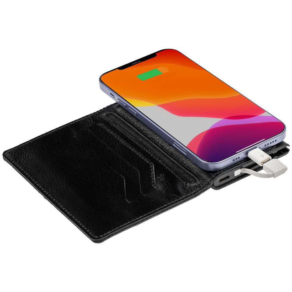 Миниатюра WWW (1000)