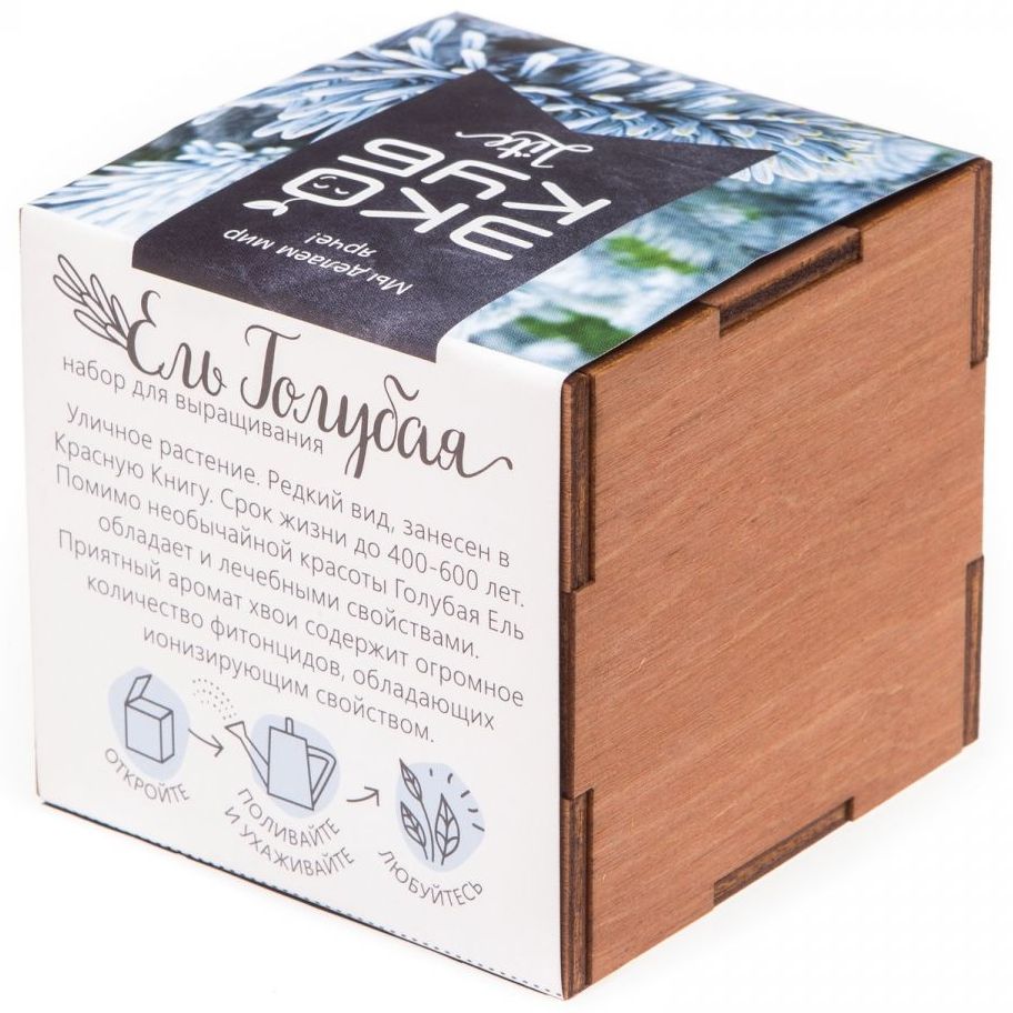 Миниатюра WWW (1000)