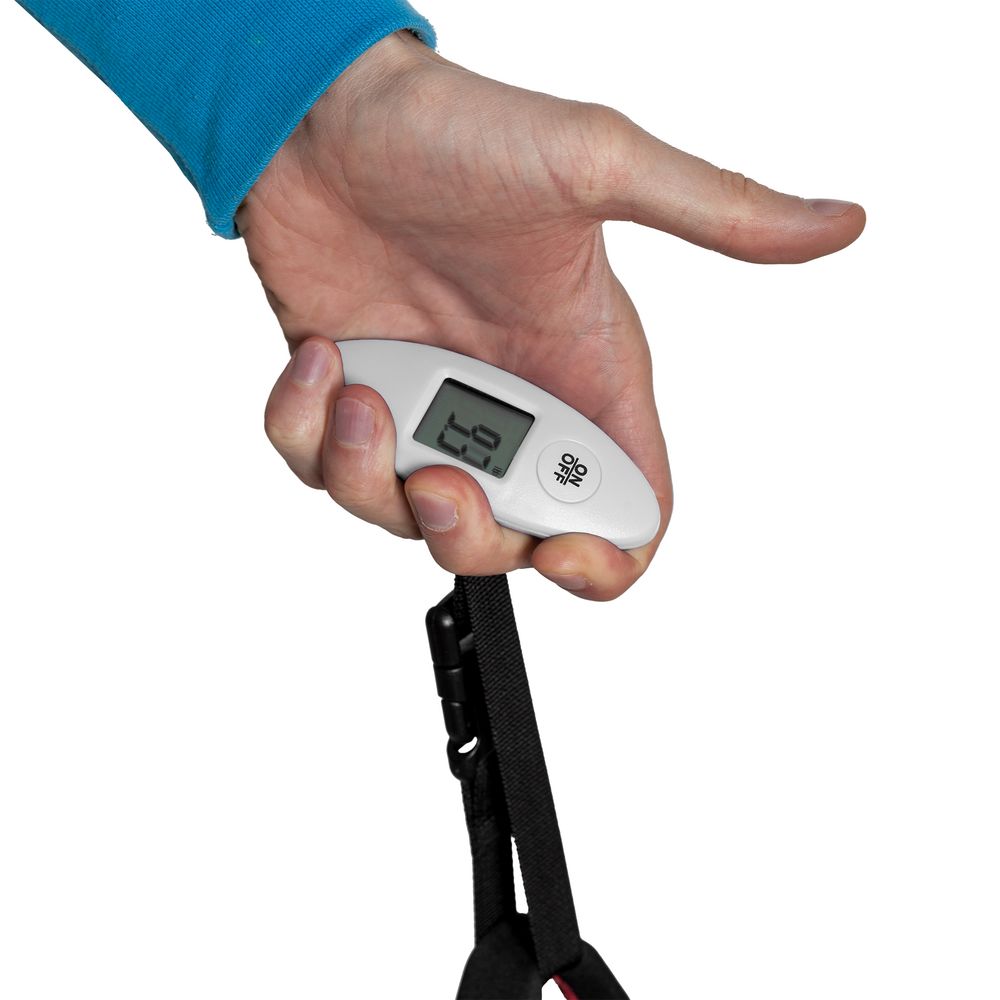 Миниатюра WWW (1000)