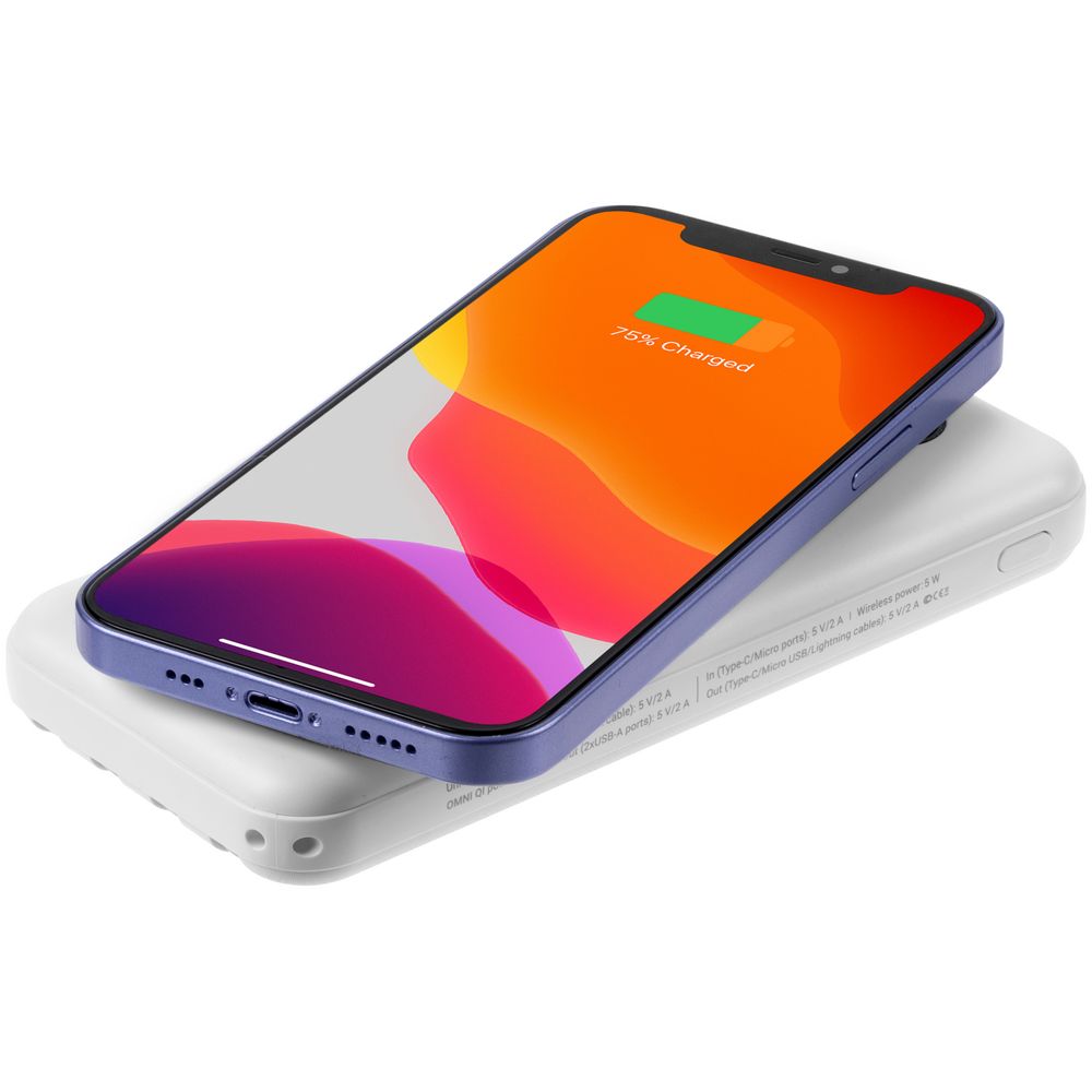 Миниатюра WWW (1000)