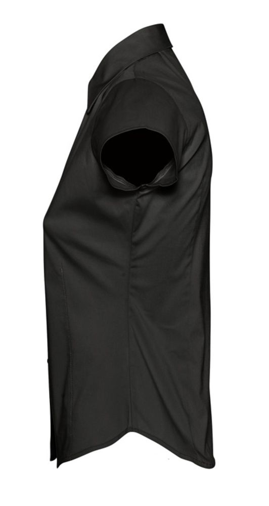 Миниатюра WWW (1000)