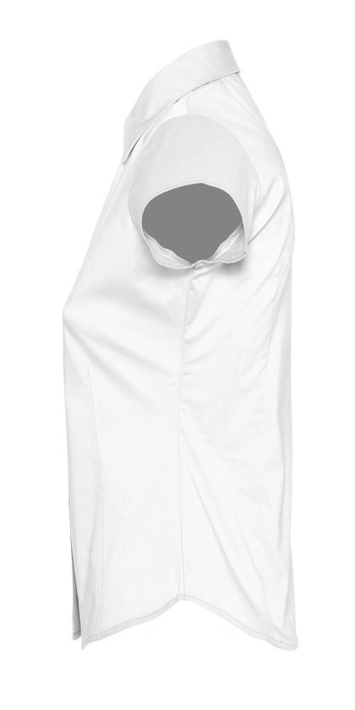 Миниатюра WWW (1000)