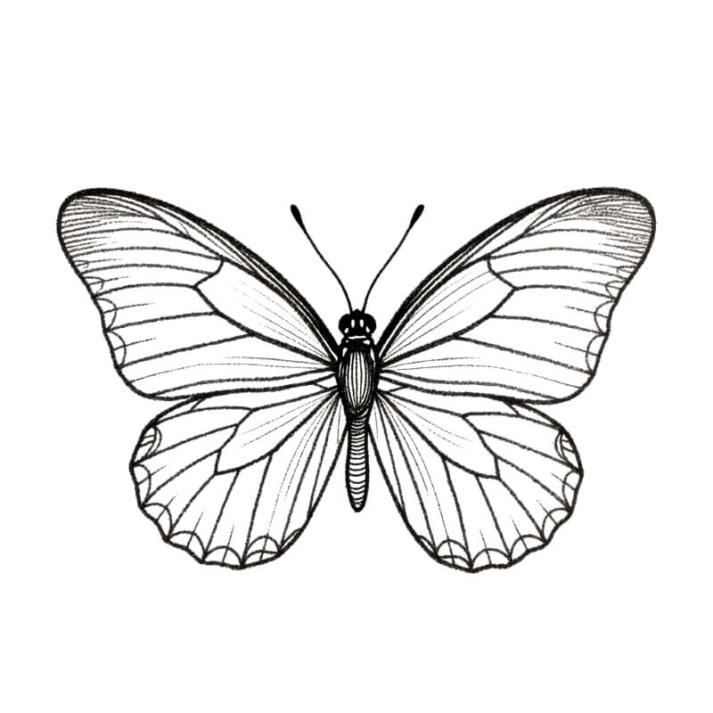 Тонкая линия